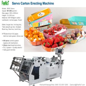 Octagonal-fruit-tray-box-erecting-machine