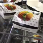 Hamburger box erecting machine QH-9905 Carton Erecting Machine