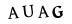 hình ảnh xác thực