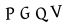كلمة التحقق