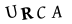 hình ảnh xác thực