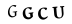 hình ảnh xác thực