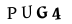 hình ảnh xác thực