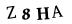 hình ảnh xác thực