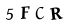 hình ảnh xác thực