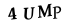 hình ảnh xác thực
