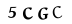 hình ảnh xác thực