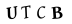 hình ảnh xác thực