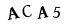 hình ảnh xác thực